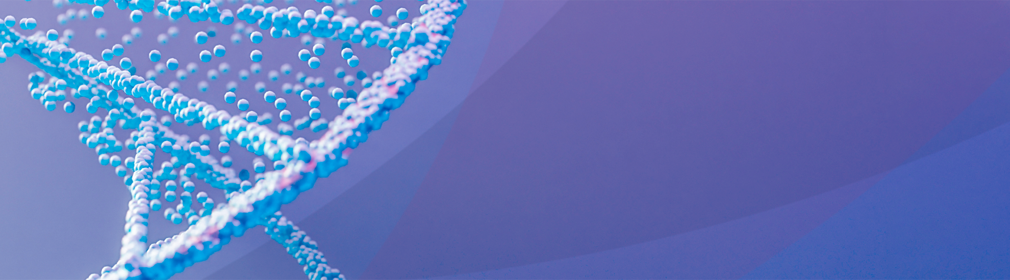 banner-3.png